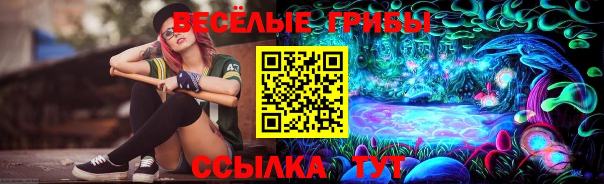 Лангепас  Псилоцибиновые грибы прущие грибы  Вход с VPN 